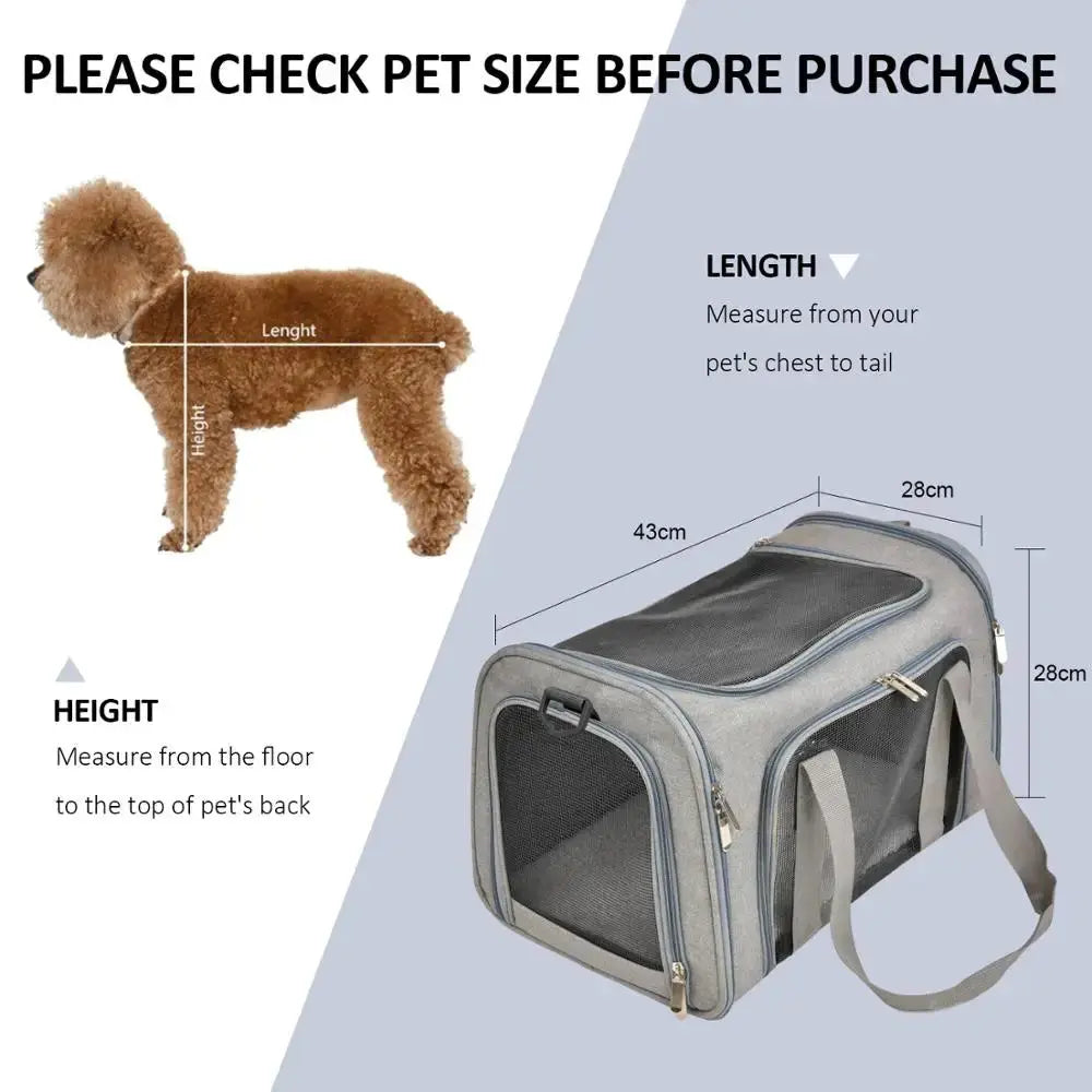 Airline-Approved Pet Carrier Bag — Waterproof Soft-Side Travel Bag for Cats & Dogs up to 12kg PETRAVEL Official Store