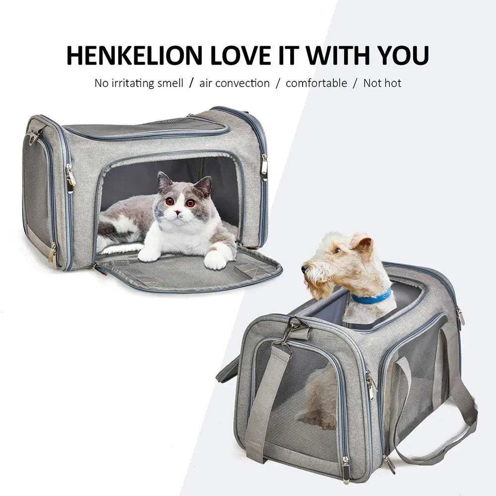 Airline-Approved Pet Carrier Bag — Waterproof Soft-Side Travel Bag for Cats & Dogs up to 12kg PETRAVEL Official Store