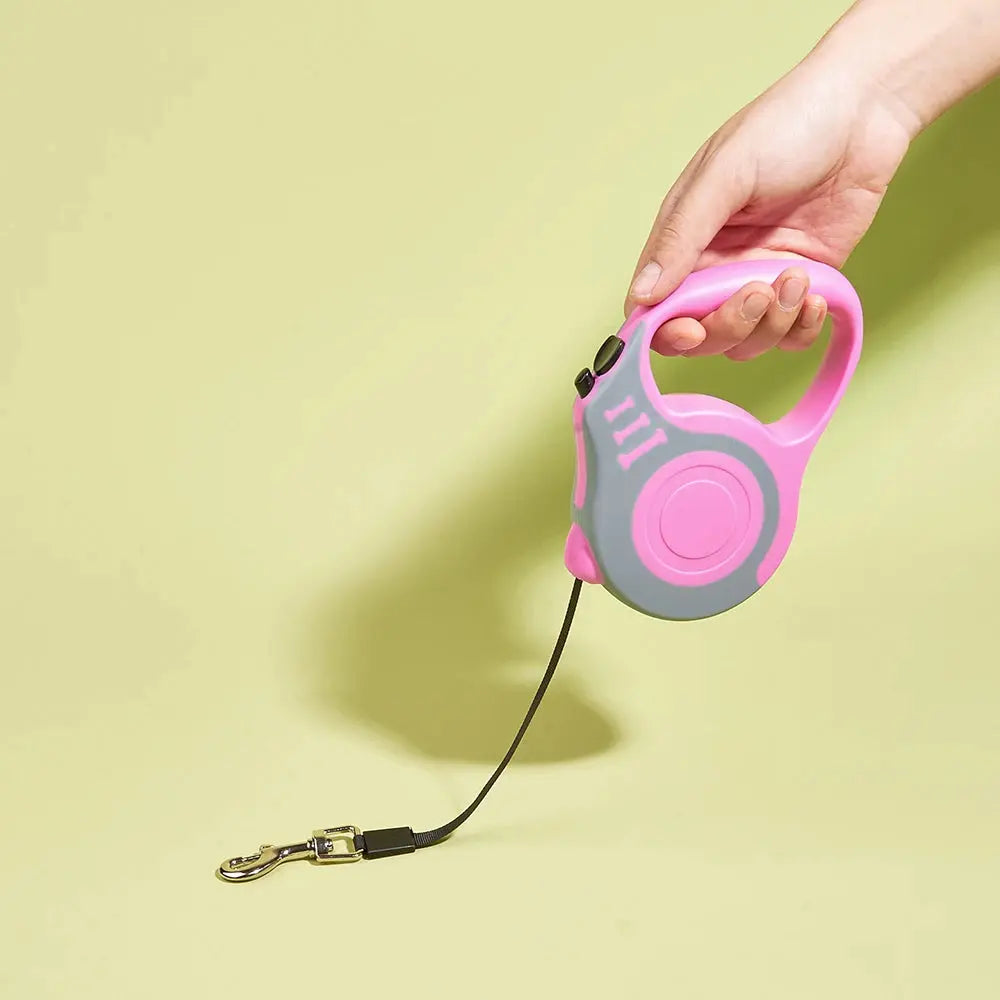 Retractable Dog Leash — 3M & 5M Durable Nylon Lead for Small Dogs, Puppies & Cats Golden Pet Store