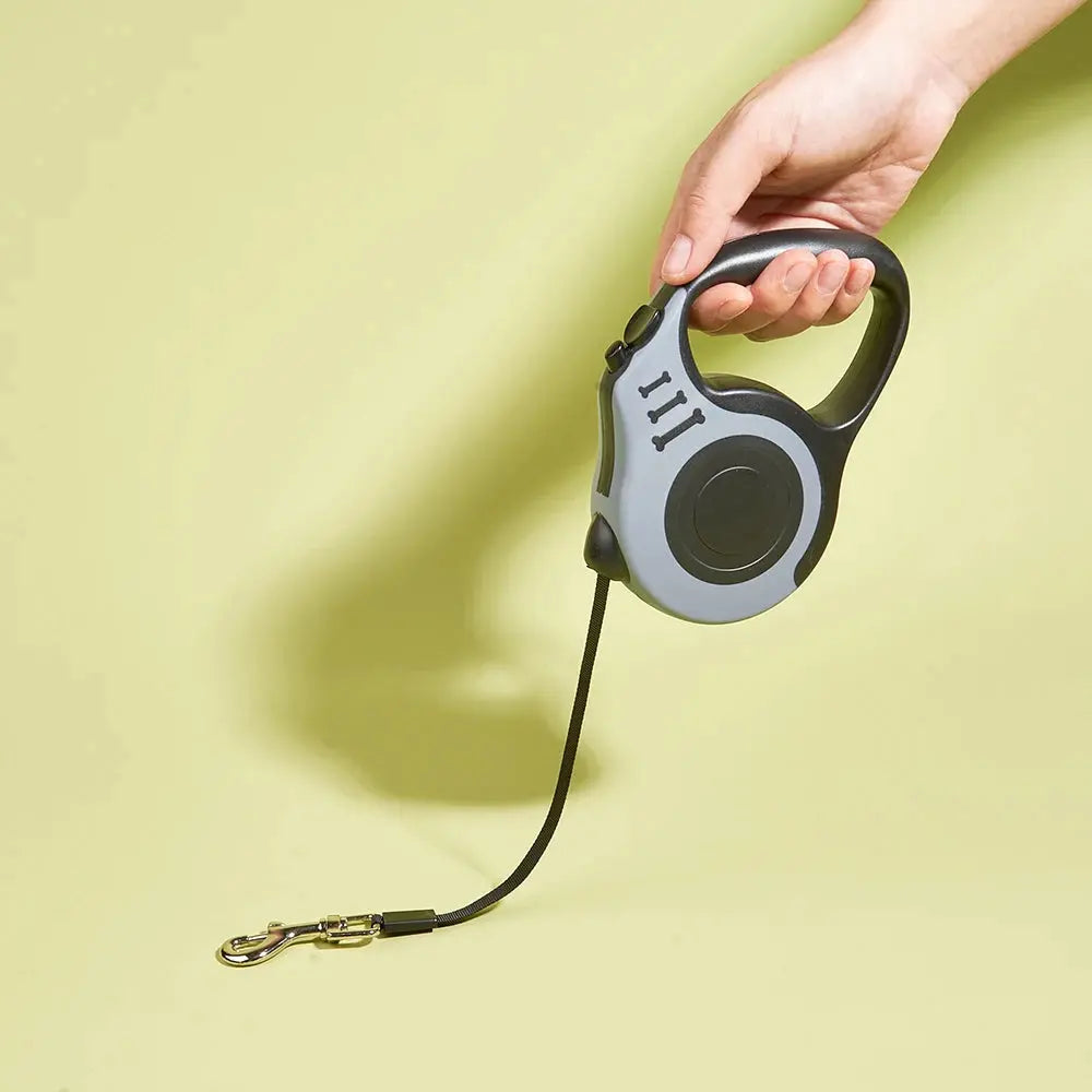 Retractable Dog Leash — 3M & 5M Durable Nylon Lead for Small Dogs, Puppies & Cats Golden Pet Store