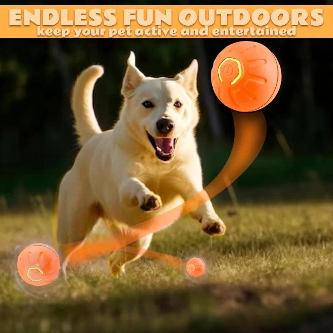 Gravity Electric Bouncing Ball — Smart Auto-Rolling Pet Toy for Dogs & Cats