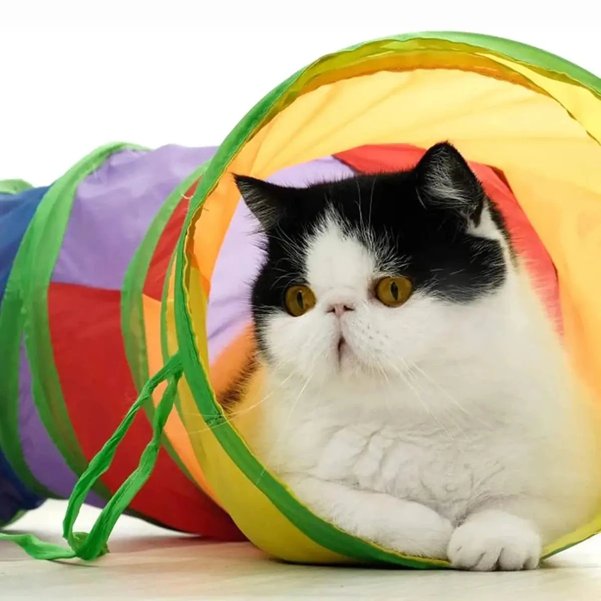 Foldable Cat Tunnel Tube — Interactive Play Tunnel for Cats, Kittens, Rabbits & Puppies Top-pet Store