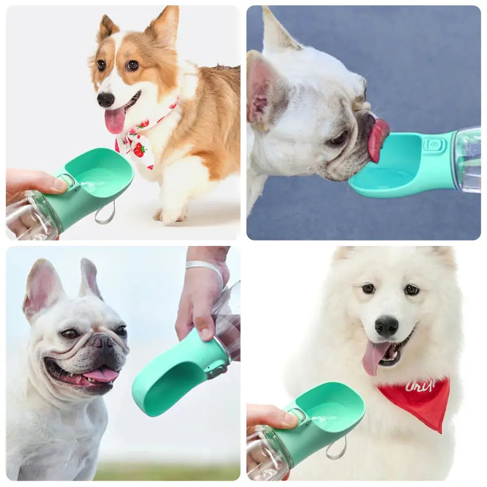 Portable Dog Water Bottle — Leakproof Outdoor Drinking Bowl for Small & Large Dogs Golden Pet Store