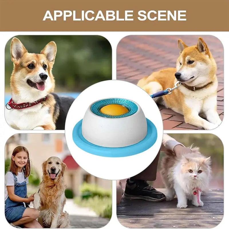 Pet Lick Mat — Anti-Spill Slow Feeder & Calming Licking Plate for Dogs & Cats Forever Nineteen Store