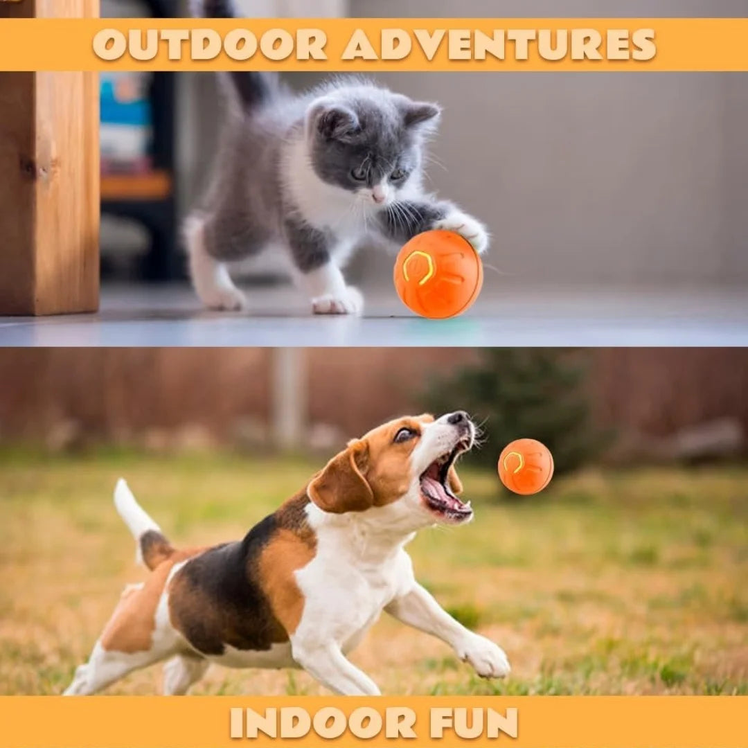 Gravity Electric Bouncing Ball — Smart Auto-Rolling Pet Toy for Dogs & Cats