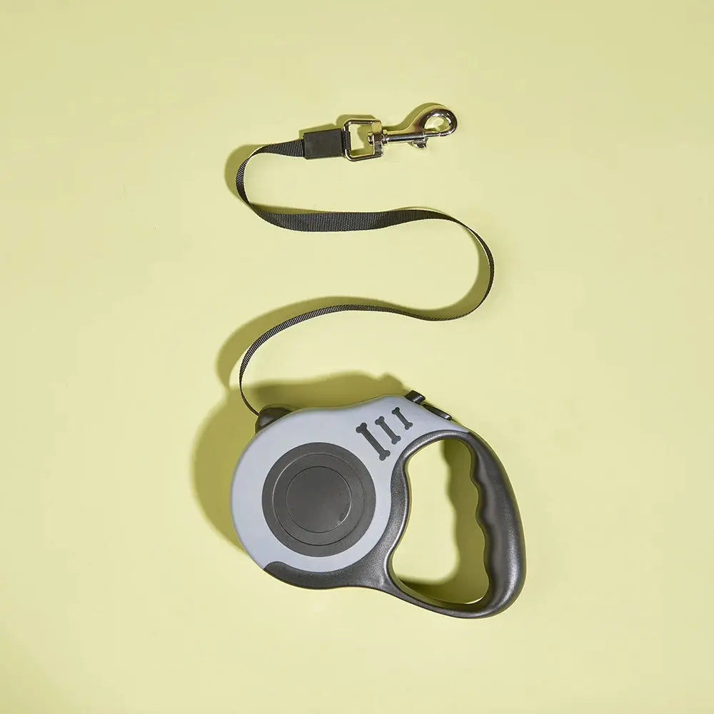 Retractable Dog Leash — 3M & 5M Durable Nylon Lead for Small Dogs, Puppies & Cats Golden Pet Store