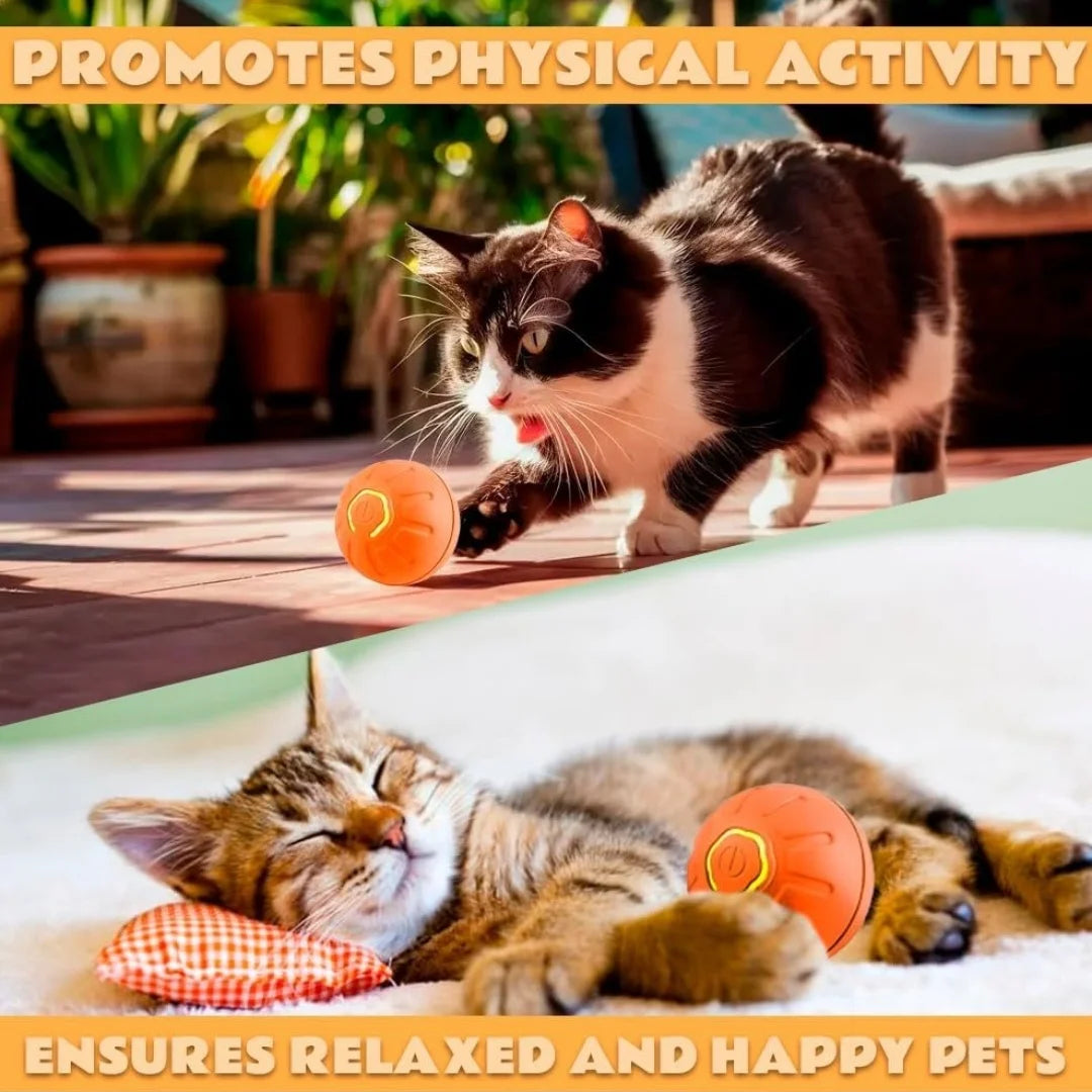 Gravity Electric Bouncing Ball — Smart Auto-Rolling Pet Toy for Dogs & Cats