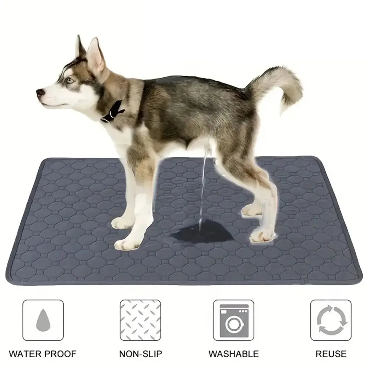 Reusable Washable Dog Pee Pad — Waterproof Absorbent Training Mat for Puppies & Cats Shop1104696718 Store