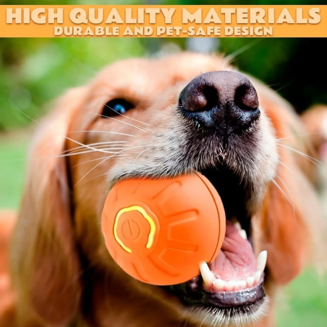 Gravity Electric Bouncing Ball — Smart Auto-Rolling Pet Toy for Dogs & Cats