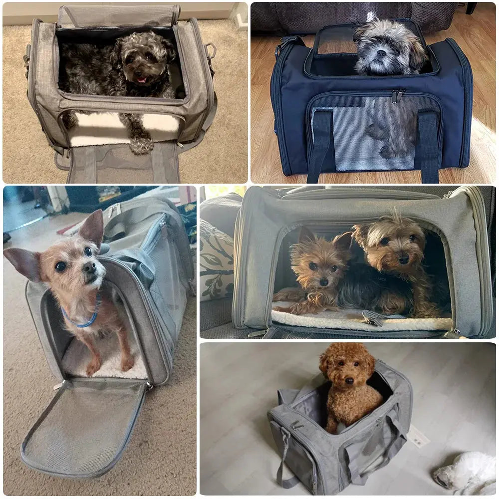 Airline-Approved Pet Carrier Bag — Waterproof Soft-Side Travel Bag for Cats & Dogs up to 12kg PETRAVEL Official Store