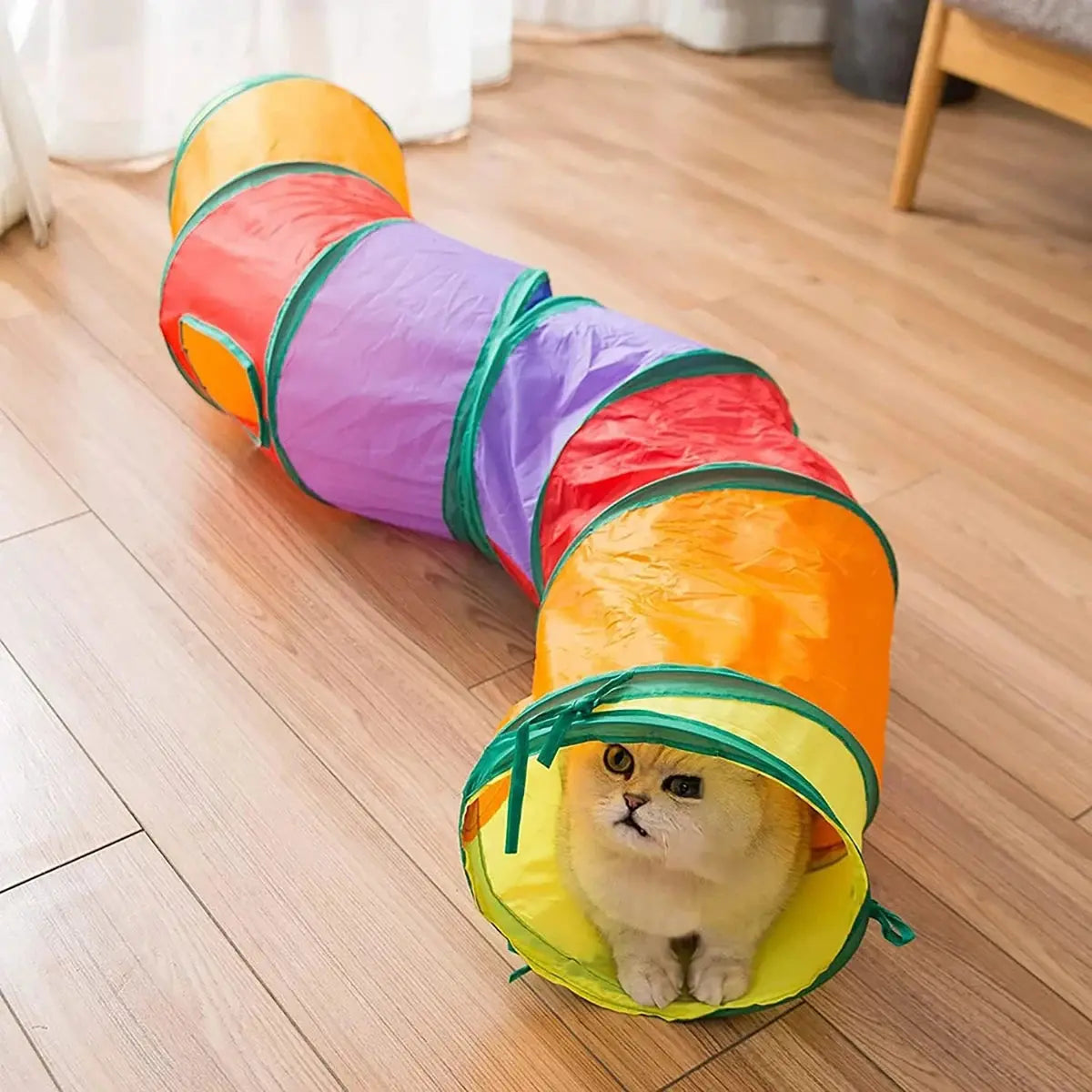 Foldable Cat Tunnel Tube — Interactive Play Tunnel for Cats, Kittens, Rabbits & Puppies Top-pet Store