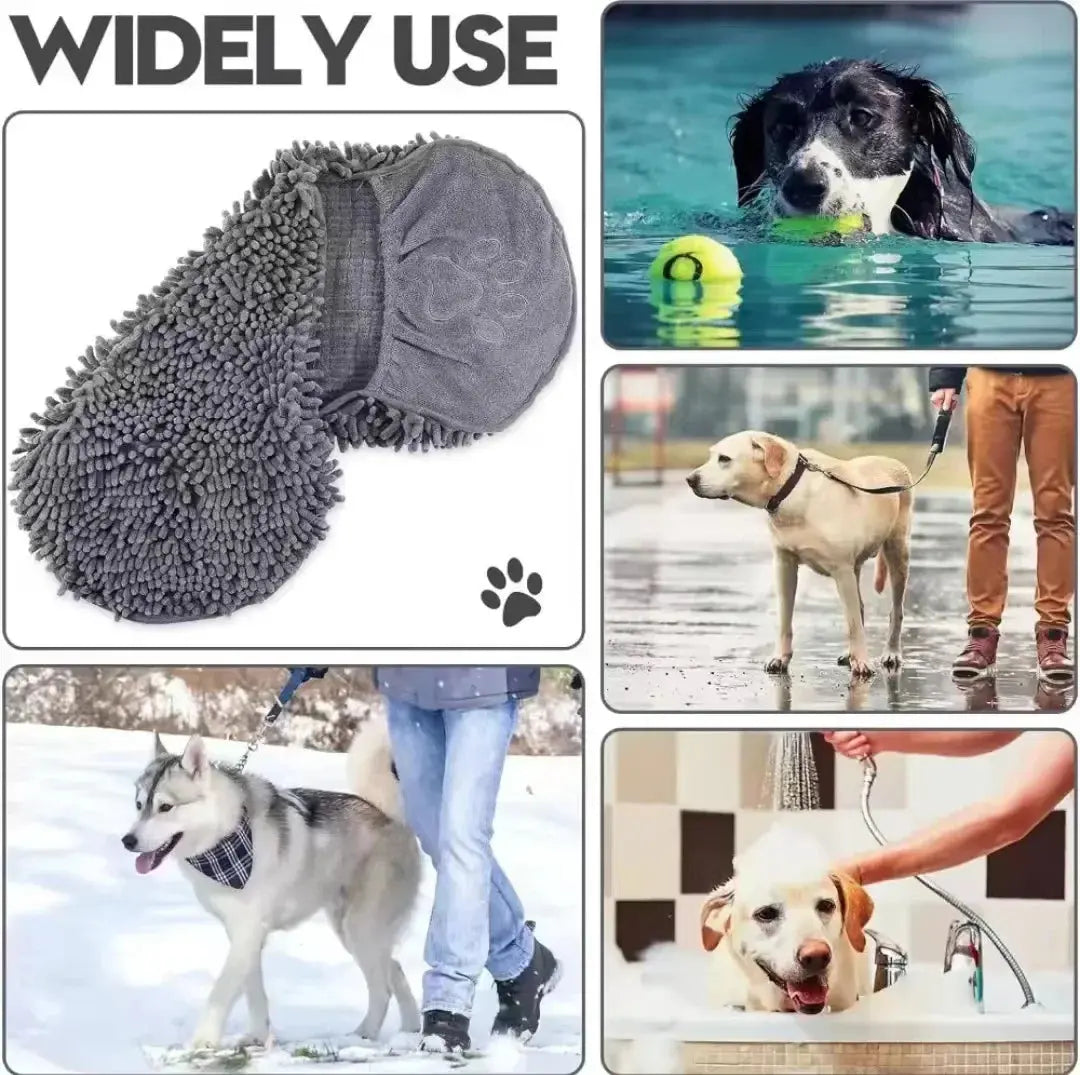 Super Absorbent Pet Bath Towel — Quick-Dry Microfibre Towel for Dogs & Cats Confident Beautiful Rich Girls Store