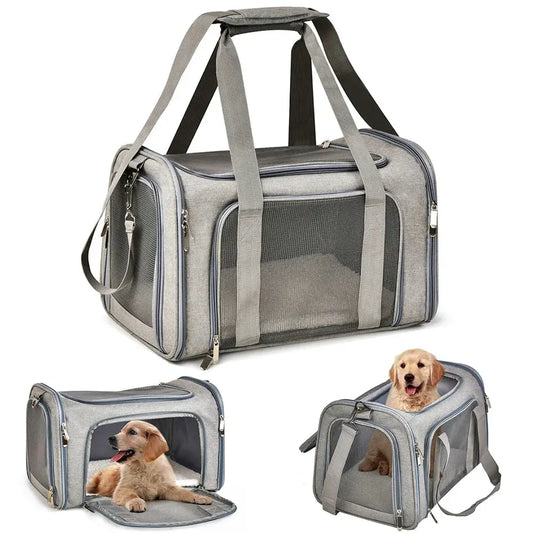 Airline-Approved Pet Carrier Bag — Waterproof Soft-Side Travel Bag for Cats & Dogs up to 12kg PETRAVEL Official Store